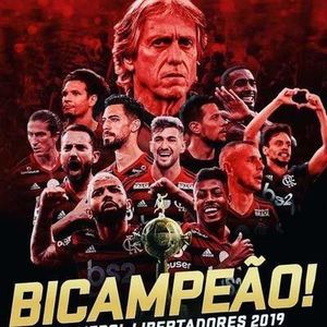 Quem viveu viu: Flamengo campeo da Libertadores da Amrica!