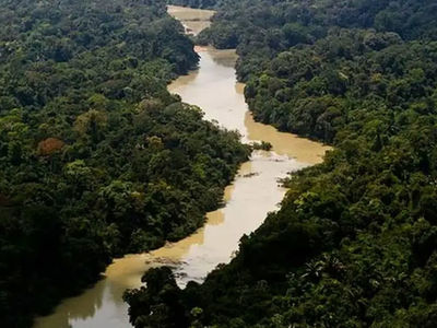 Brasil no trata meio ambiente com seriedade, diz promotor